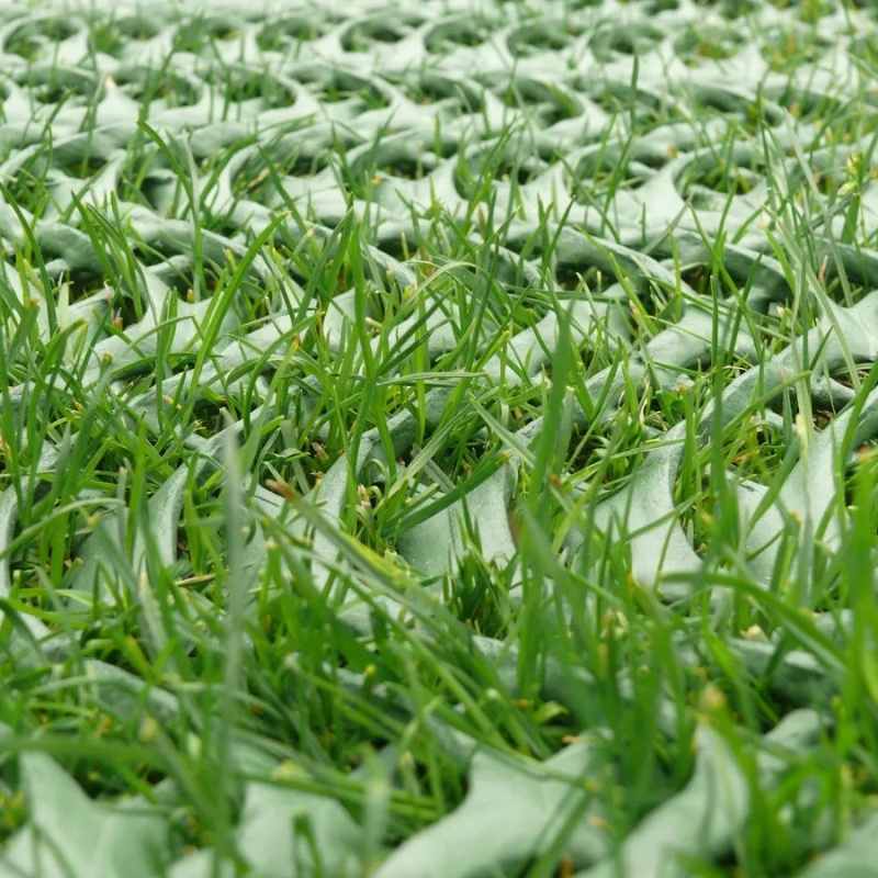 Zatrávňovacia rohož - dočasné parkovanie 20 x 200 cm